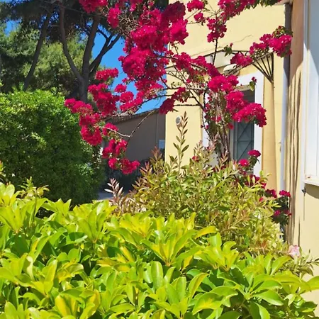 Ionian Sunset Han/Misafirhane